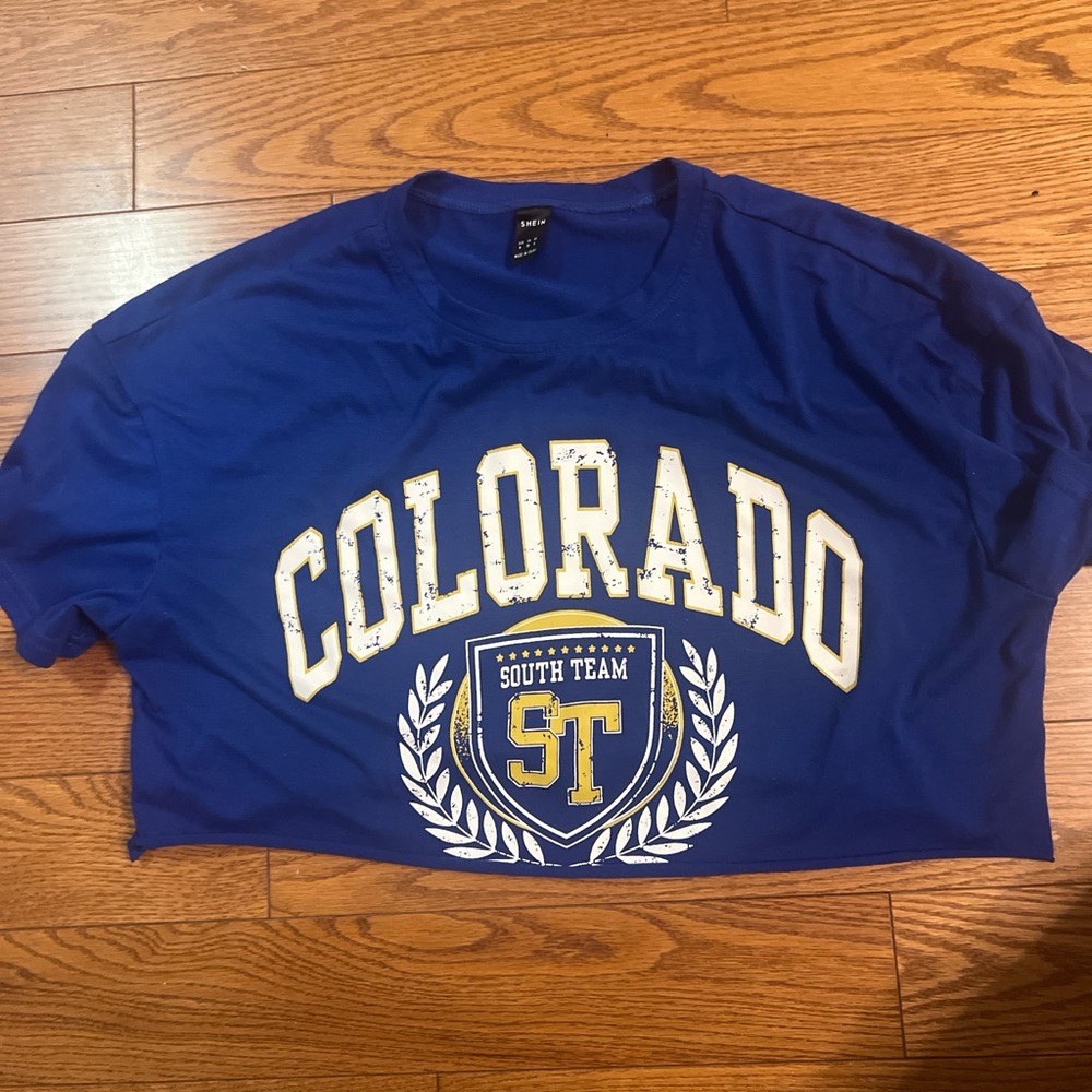 SHEIN Blue Colorado Graphic Tee